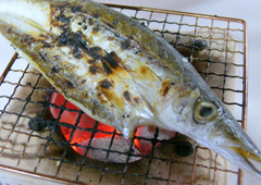 �Ԃ��܂��Ђ炫